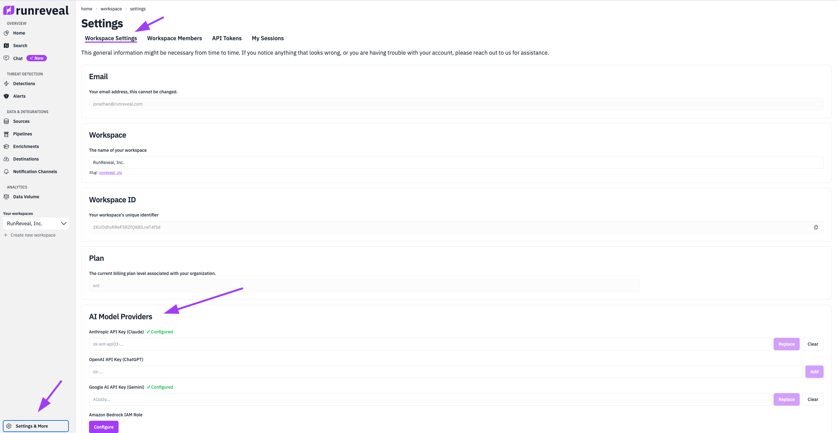Native AI Chat Settings